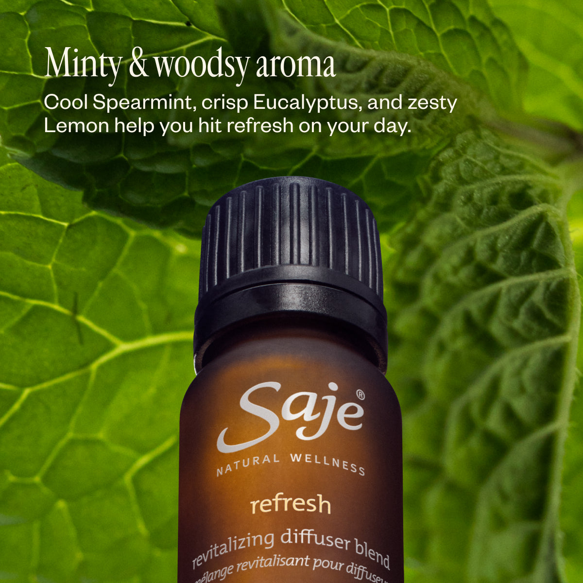 Refresh